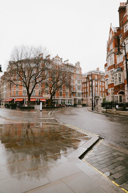 A wet urban street scene on a cloudy day, showing a curved roadway with reflective puddles on the asphalt and surrounding pavement. On the left, a leafless tree with dark, textured branches stands in front of a row of multi-storey red-brick buildings with white window frames and ornate architectural details. The buildings have a mixture of bay windows, decorative cornices, and small balconies, some with awnings, and are adjacent to a sidewalk that appears slightly damp. To the right, part of a corner building with similar red brickwork and white accents is visible, with a streetlamp attached to its exterior. The overall scene has a subdued, overcast ambiance, typical of a city environment where residents or businesses might arrange for private rubbish collection or clearance services, reflected subtly in the context of waste management and removal. The branding of House Clearance Mayfair is not directly visible in the scene but implied through the visual focus on an urban setting suitable for city-based rubbish removal services, particularly in areas with historical architecture and narrow streets, where alternative waste handling might be employed.